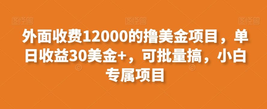 外面收费12000的撸美金项目，单日收益30美金+，可批量搞，小白专属项目-知芽创业社