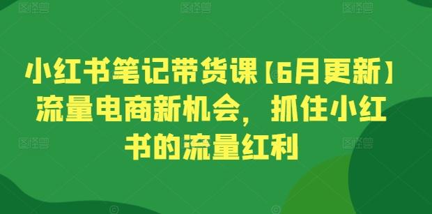 小红书笔记带货课【6月更新】流量电商新机会，抓住小红书的流量红利-知芽创业社