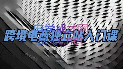 团长·跨境电商独立站入门课(2小时精华)-知芽创业社