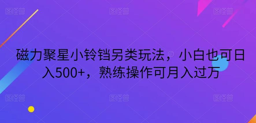 磁力聚星小铃铛另类玩法，小白也可日入500+，熟练操作可月入过万-知芽创业社