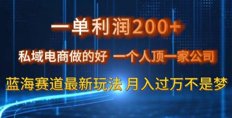 一单利润200私域电商做的好，一个人顶一家公司蓝海赛道最新玩法【揭秘】-知芽创业社