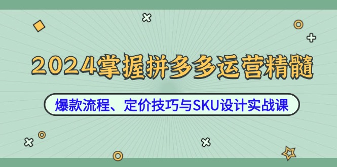 2024掌握拼多多运营精髓：爆款流程、定价技巧与SKU设计实战课-小艾项目网