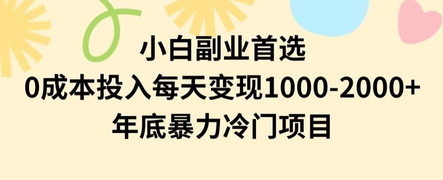 小白副业首选，0成本投入，每天变现1000-2000年底暴力冷门项目【揭秘】-知芽创业社