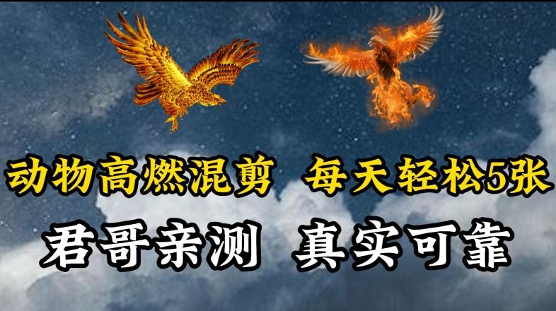 动物超燃混剪，每天轻松5张，剪辑简单大家爱看【揭秘】-知芽创业社