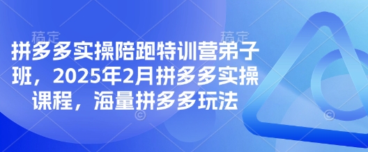 拼多多实操陪跑特训营弟子班，2025年2月拼多多实操课程，海量拼多多玩法-知芽创业社