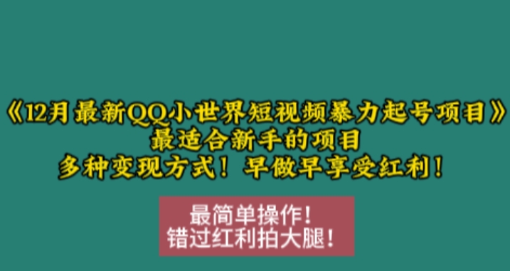 12月最新QQ小世界短视频暴力起号项目，最适合新手的项目，多种变现方式-知芽创业社