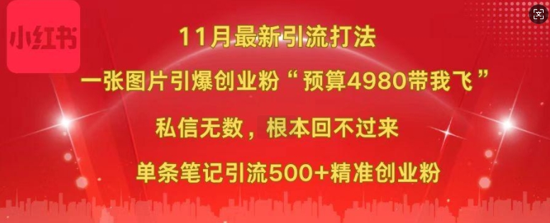 小红书11月最新图片打粉，一张图片引爆创业粉，“预算4980带我飞”，单条引流500+精准创业粉-知芽创业社