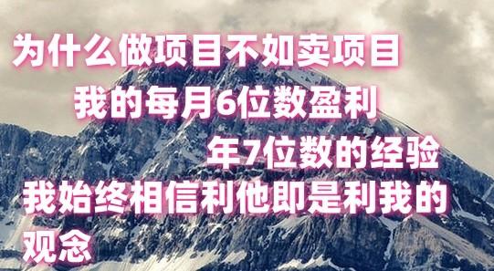 做项目不如卖项目，每月6位数盈利，年7位数经验-知芽创业社