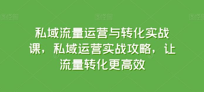 私域流量运营与转化实战课，私域运营实战攻略，让流量转化更高效-知芽创业社