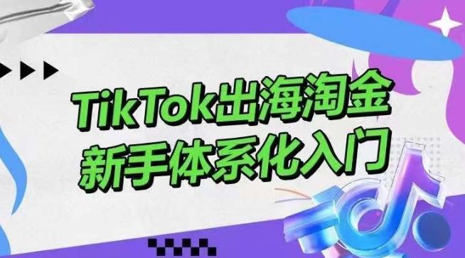TikTok出海淘金，新手体系化入门，零基础快速入门，掌握短视频、直播带货等引流到变现的知识-知芽创业社