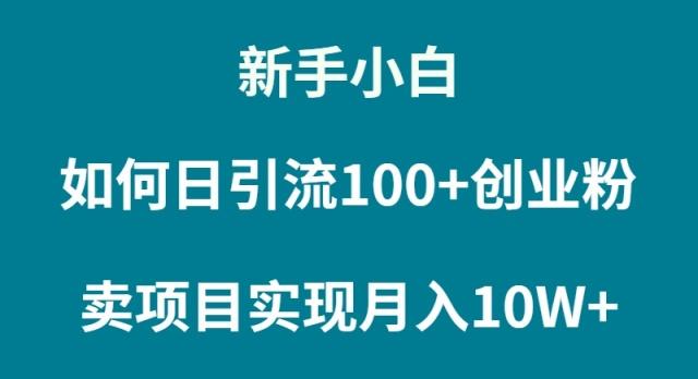 (9556期)新手小白如何通过卖项目实现月入10W+-知芽创业社