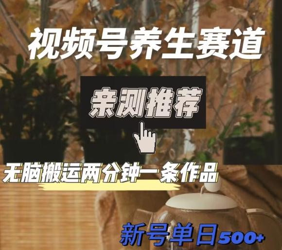 视频号养生赛道暴力掘金，无脑搬运，两分钟一条作品-新日单入500+-知芽创业社