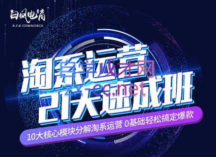 淘系运营21天速成班(更新24年6月)-知芽创业社