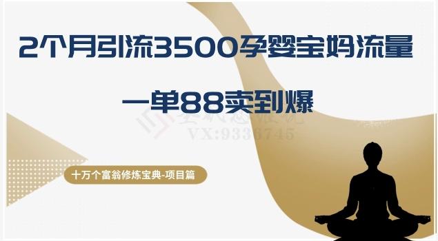 十万个富翁修炼宝典之13.2个月引流3500孕婴宝妈流量，一单88卖到爆-知芽创业社
