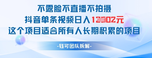 不露脸不直播不拍摄抖音单条视频日入1k+这个项目适合所有人长期积累的项目-小艾项目网