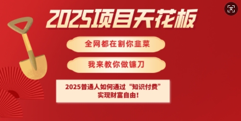 2025项目天花板普通人如何通过知识付费，实现财F自由【揭秘】-小艾项目网